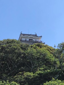 rYCTuAIQTCuWIeO9xFdpow